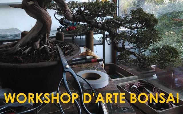 Workshop d'Arte Bonsai Individuale