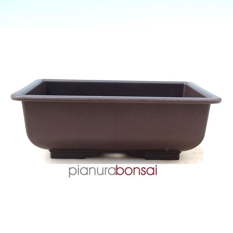 Vaso Bonsai da coltivazione in plastica 21cm