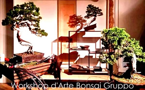 Workshop d'Arte Bonsai Gruppo