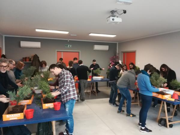 Workshop d'Arte Bonsai Livello Base c/o Bardin Garden Center (Treviso)