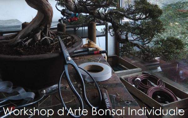 Workshop d'Arte Bonsai Individuale