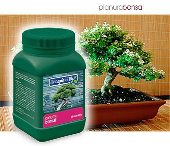 Concime per Bonsai 250gr