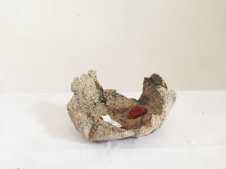 Pietra di luna