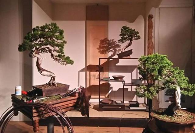 🌳Vaso giapponese per bonsai なまこ Namako